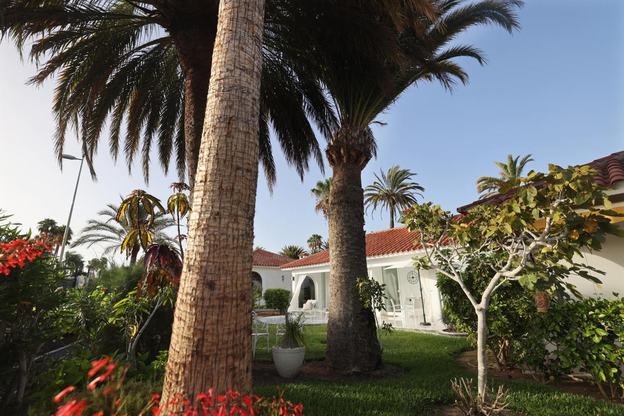 Sun Club Playa Del Ingles Hotel Exterior photo
